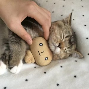 我的忧伤是无穷尽的莫比乌斯环