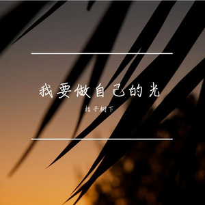 我要做自己的光 伴奏
