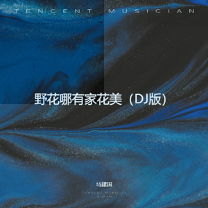野花哪有家花美（DJ版）