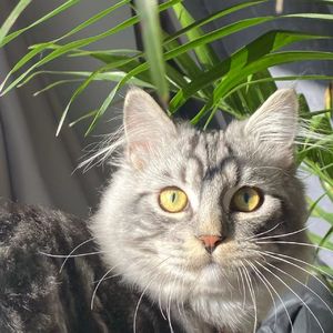 行走在太空的情侣