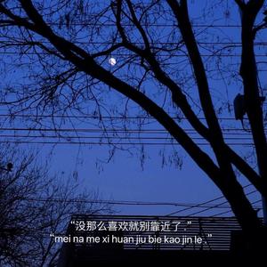 连名带姓（抒情版）（翻自 张惠妹）