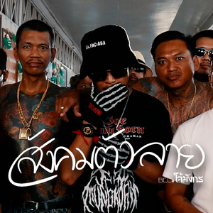 สังคมตัวลาย