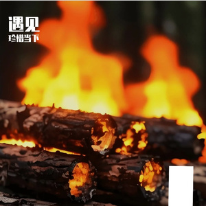 《遇见星屑的瞬间》