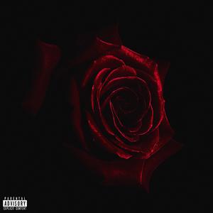 KA$h RO$E (feat. Wyddillan & Brayd0n)