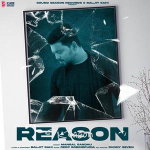 Reason (feat. Baljit Sahi)