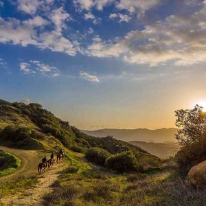 悠闲的时光惬意