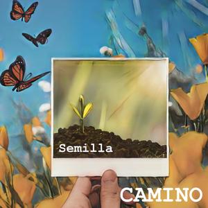 semilla