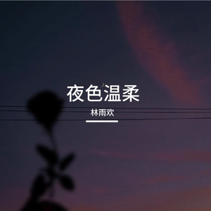 星轨旅店