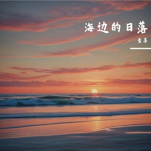 海边的日落