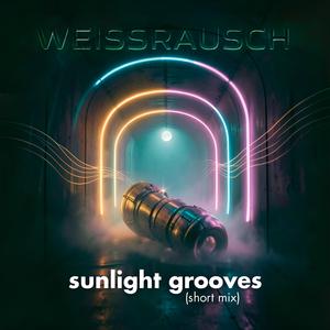 sunlight grooves ( short mix)
