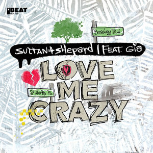 Love Me Crazy (Extended Mix)