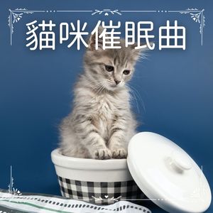 安抚猫咪