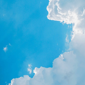 sero ／ tonin :: 𝗳𝗿𝗲𝗲 𝗱𝗹