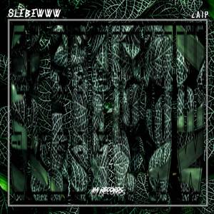 DJ SLEBEWWW