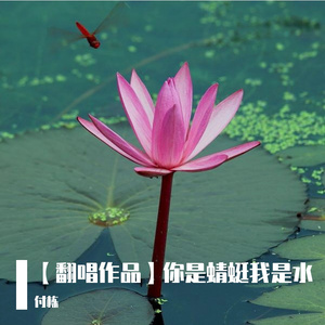 你是蜻蜓我是水（翻自 寂悸）