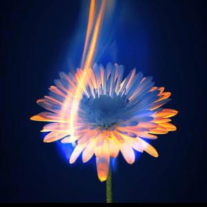 Betrayal (Special Version)