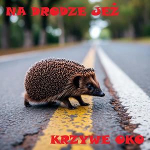 Na drodze jeż