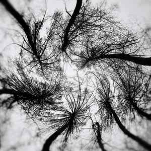 Melancholic Tune (2018)