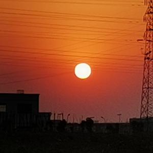 飘飘何所似，天地一沙鸥