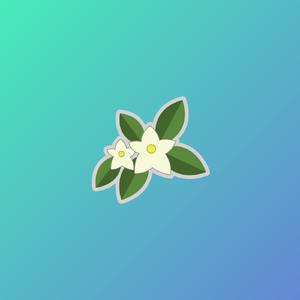 "Jasmine" Chill Jazz Boombap Beat