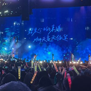 我以渺小爱你（温柔女声版）（翻自：周深）