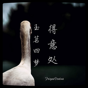 雁过不留声（摇滚纯音乐）