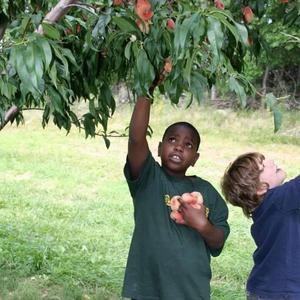 COME BACK (feat. T.B)