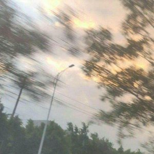 凤凰花开的路口