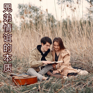 兄弟情谊的本质