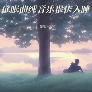 重度失眠者必听催眠曲