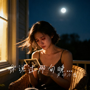 你说过那句晚安