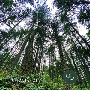 Understory