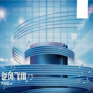 《逆风飞翔》