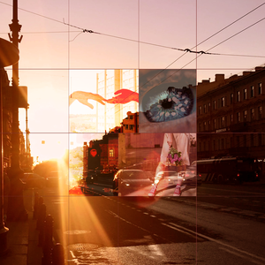 Ростки и стебли