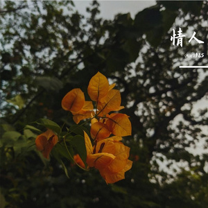 你会知道我爱你吗