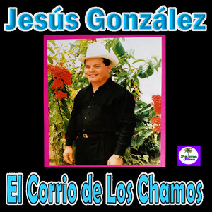 Me fui a buscarla a la manga