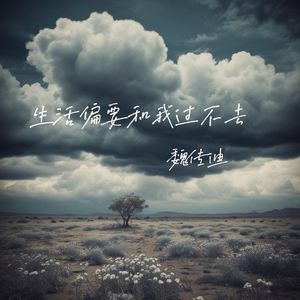 生活偏要和我过不去