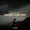 Dallerium - How Do I Sleep Now (Extended)