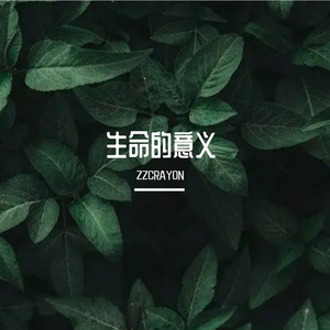 生命的意义