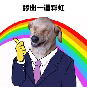 舔狗日记