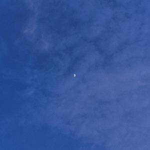 关于Lisa小姐 （Prod by BECU BEATZ）