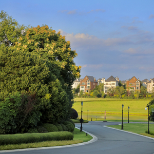 蔚蓝星光·温暖家