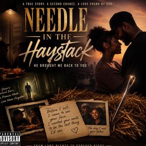 Needle in a Haystack