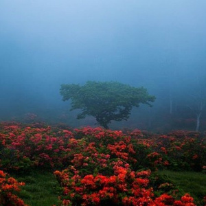 the last winter at home