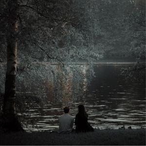 The Tree When We Sat Once