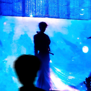 深海的囚禁-人鱼与精灵