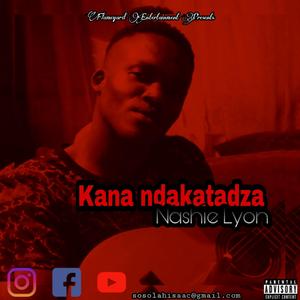 Kana ndakatadza
