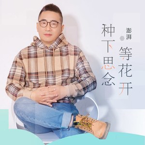 种下思念等花开