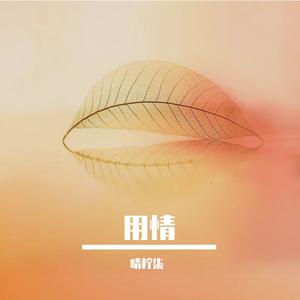用情（走心治愈版）