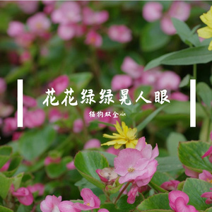 倒带